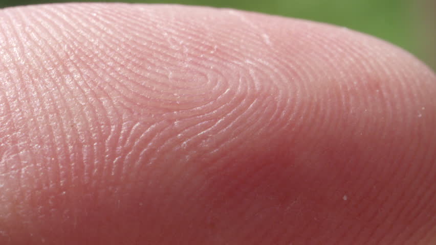 Рисунок кожи на пальце