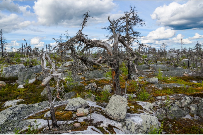 Nature of Karelia photo most beautiful places