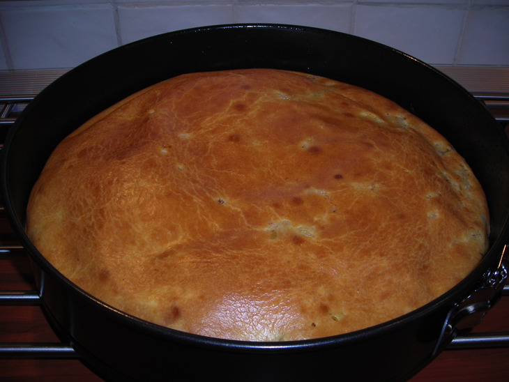 jellied pie with saury and rice on mayonnaise