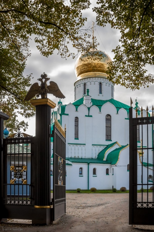Ворота Феодоровского собора