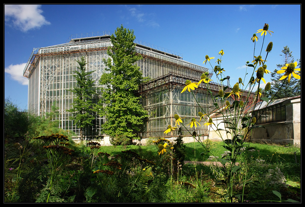 Ботанический сад на Каоповке