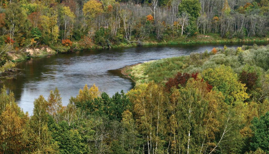 Панорама реки Кайва