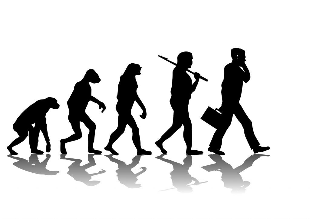 развитие и эволюция человека