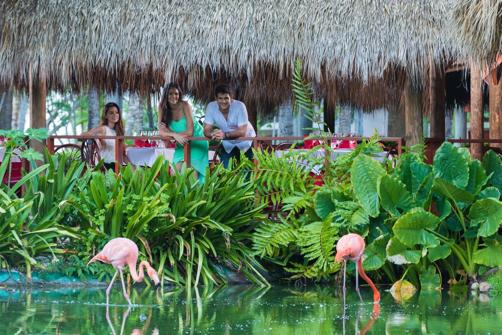 Flamingo at the hotel