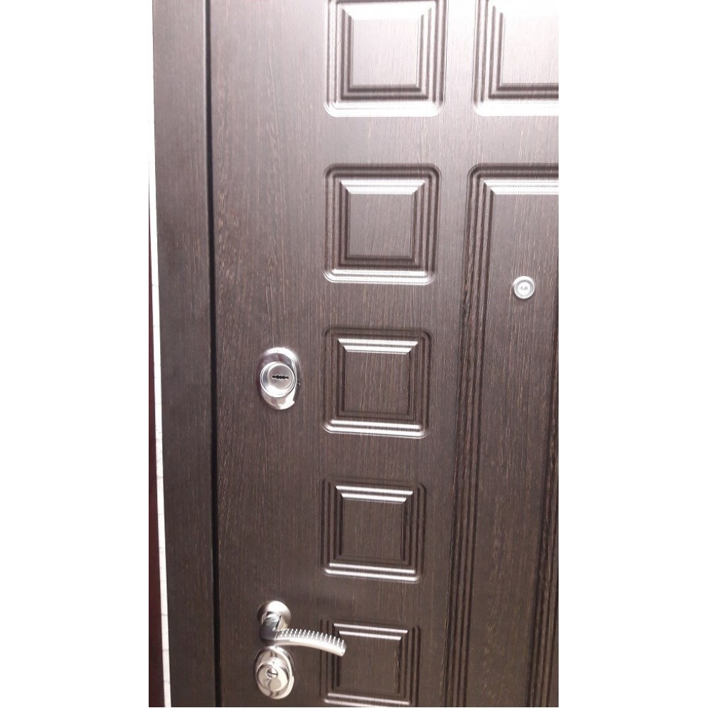 entrance doors Armada