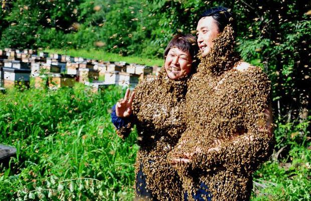 beekeeper day in Ukraine