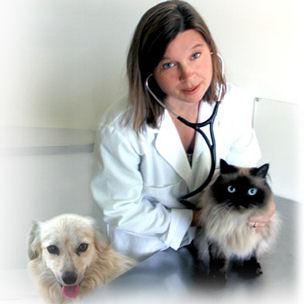 день ветеринара в России