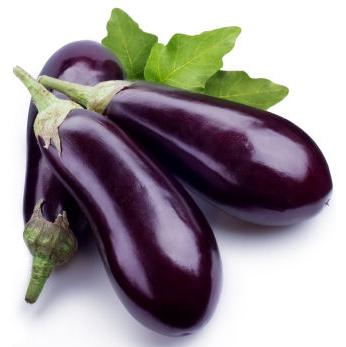 how to grow eggplant