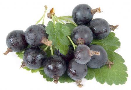 Useful properties of yoshta berry