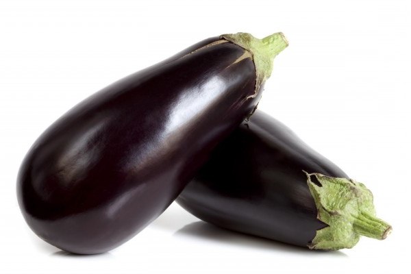 How to grow eggplant