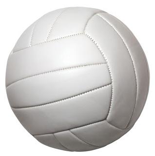 волейбольный мяч