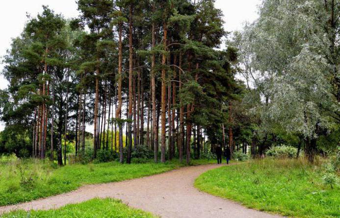 Парк александрино санкт петербург