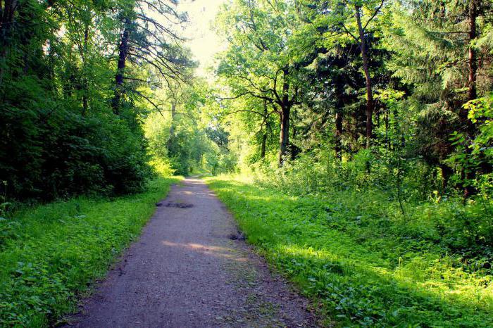 Баболовский парк в пушкине фото