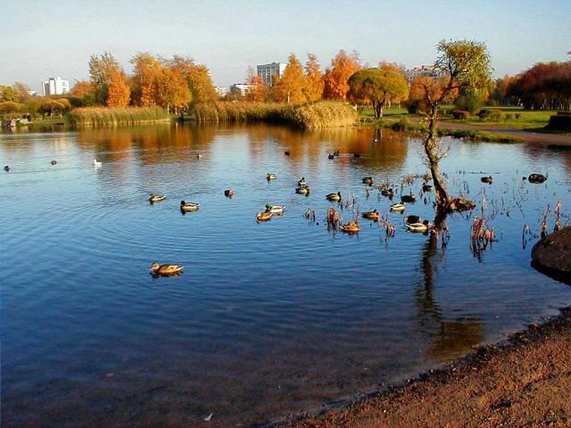 Polyustrovsky park in St. Petersburg