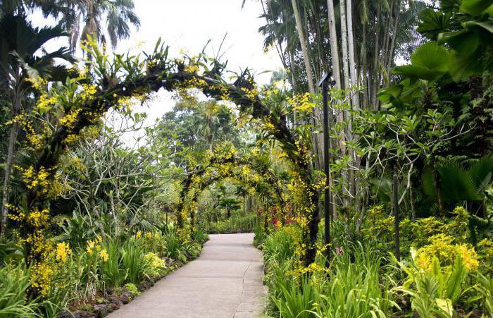 The main botanical garden named after n in qitsin