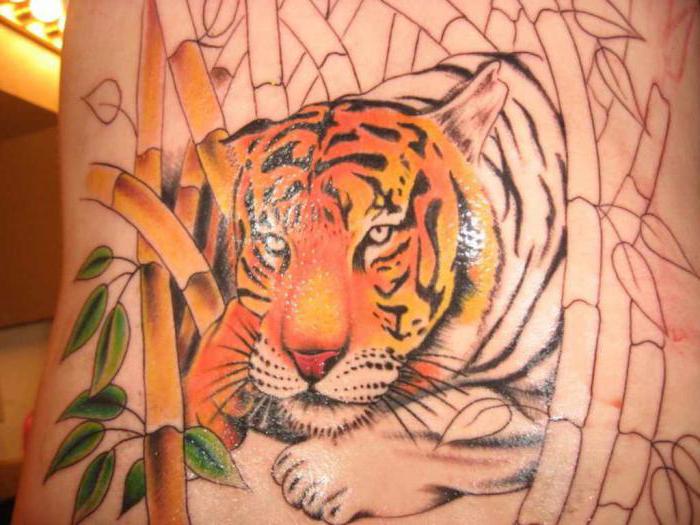 Татуировки тигра на плече
