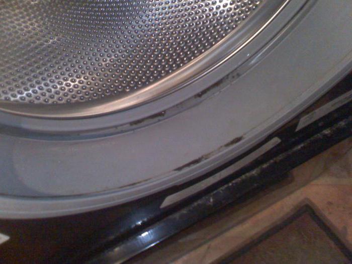 Как навсегда избавиться от плесени в стиральной машине