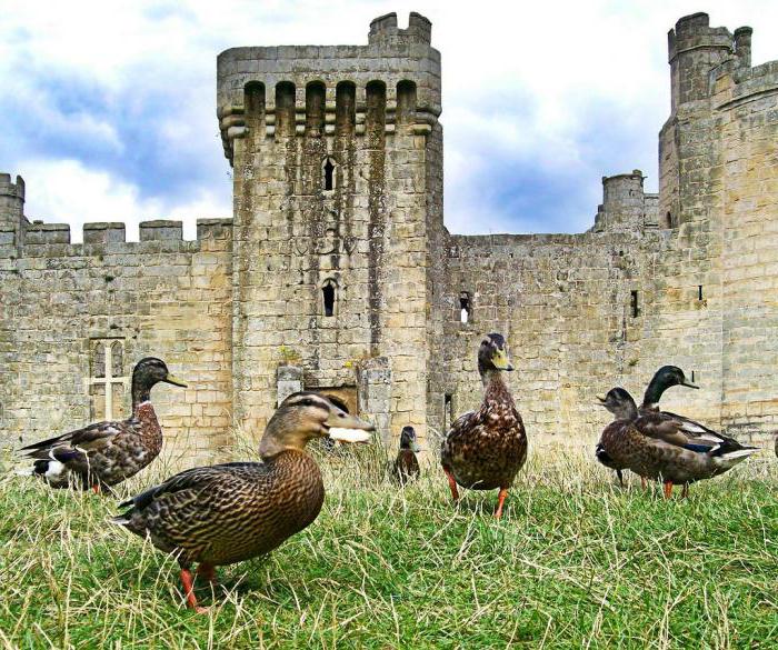Средневековый замок бодиам англия