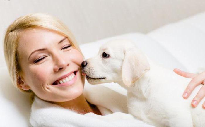 Почему у маленьких собак пахнет изо рта