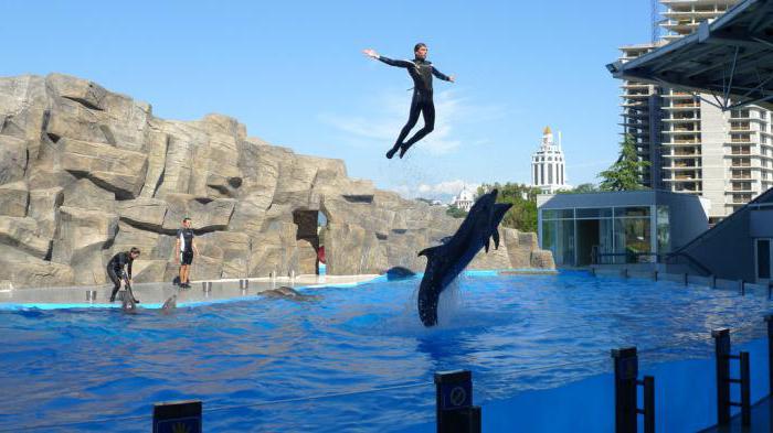 Batumi dolphinarium working hours