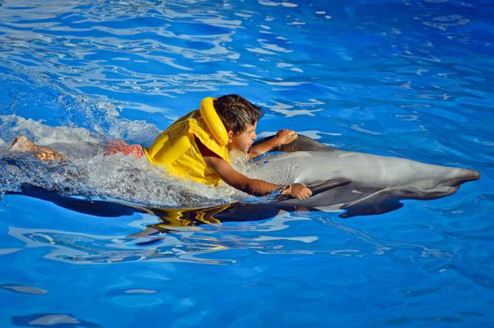 Batumi Dolphinarium Address