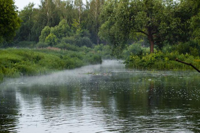 Batashevsky Garden Tula Address