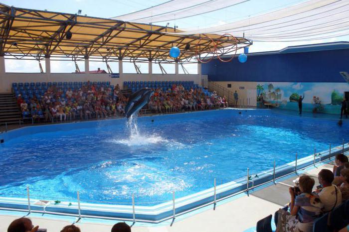 Dolphinarium in Golubitskaya photo