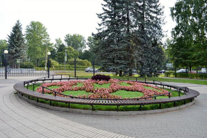 Зеленоградск городской парк фото