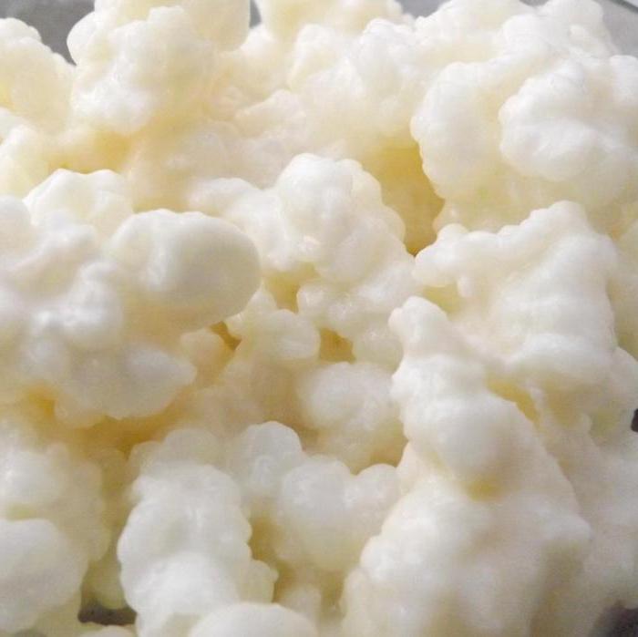 Fasting day on cottage cheese and kefir menu