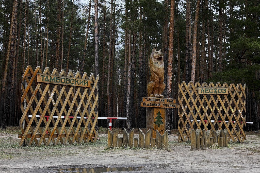 Памятник тамбовскому волку в тамбове фото