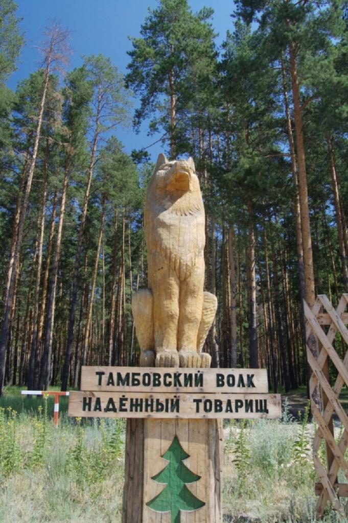 Памятник тамбовскому волку в тамбове фото