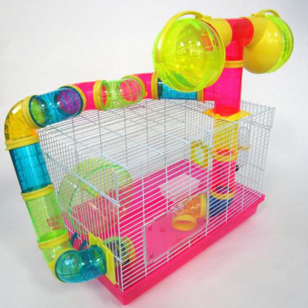 what you need to keep a hamster