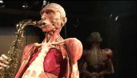 Secrets of the human body exhibition Minsk