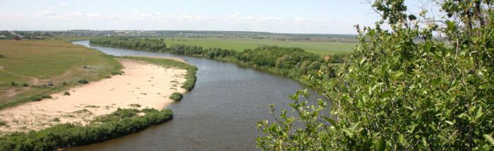 The nature of the Voronezh region