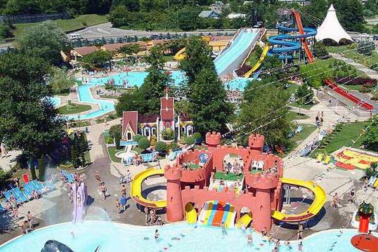 Water park in tuapse dolphin