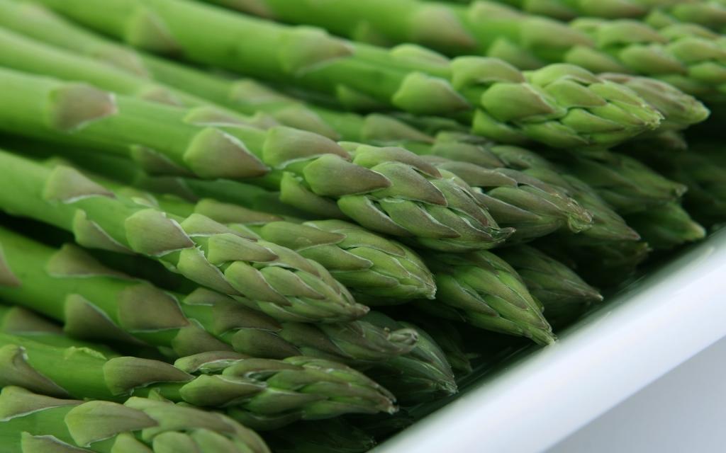 Asparagus or Asparagus