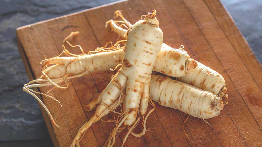 Ginseng root