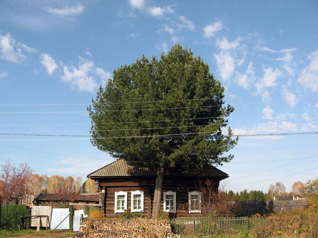 The village of Novo-Kuskovo