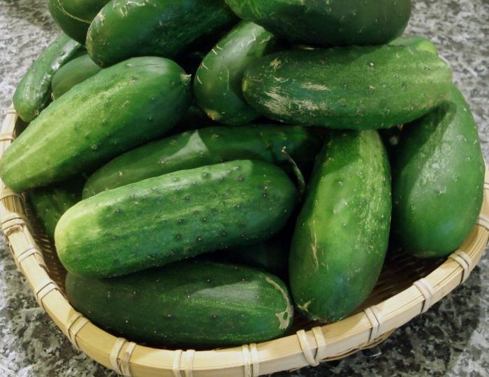 why cucumbers are bitter