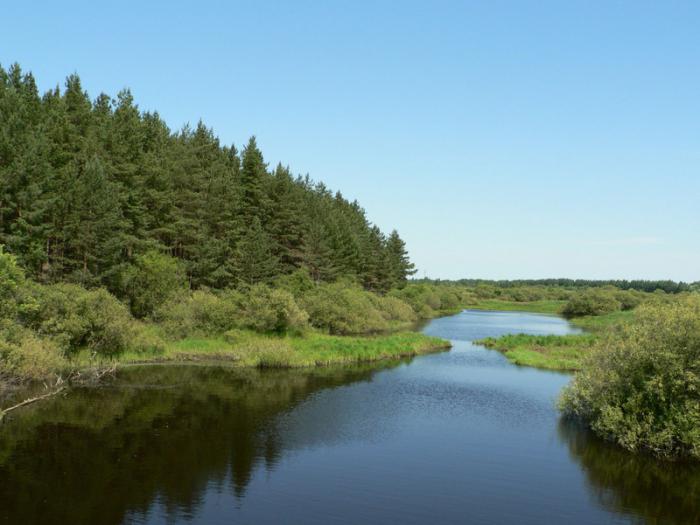 Meshchersky pond in Solntsevo