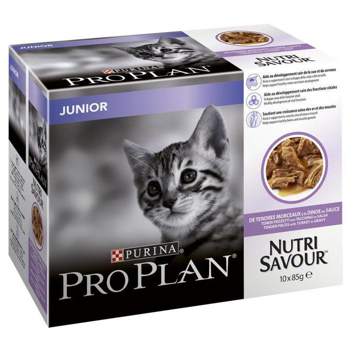 Рейтинг лучших кошек. Purina Pro Plan Junior Kitten. Pro Plan Nutrisavour Junior. Purina Pro Plan комплект 4+1 Nutri savour Junior для котят. Pro Plan котята Pro Plan Nutrisavour Kitten.