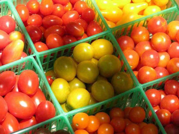 высокоурожайные сорта томатов для теплиц
