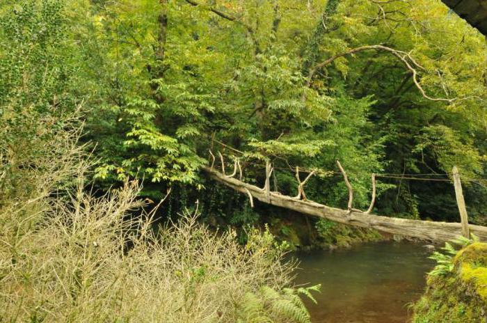 Batumi Mtirala National Park