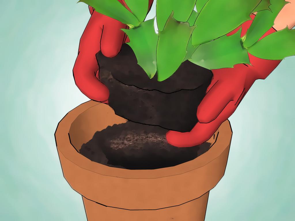 почва для кактусов