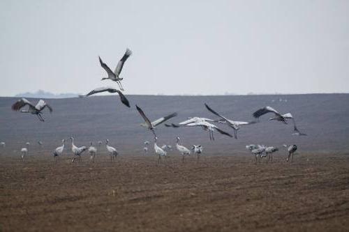 заповедники ростовской области