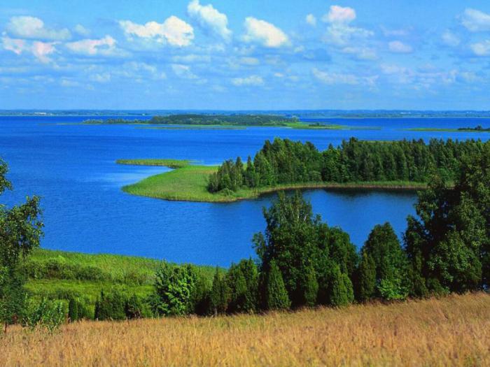 заповедники национальные парки в беларуси