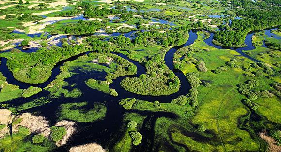 припятский национальный парк фото