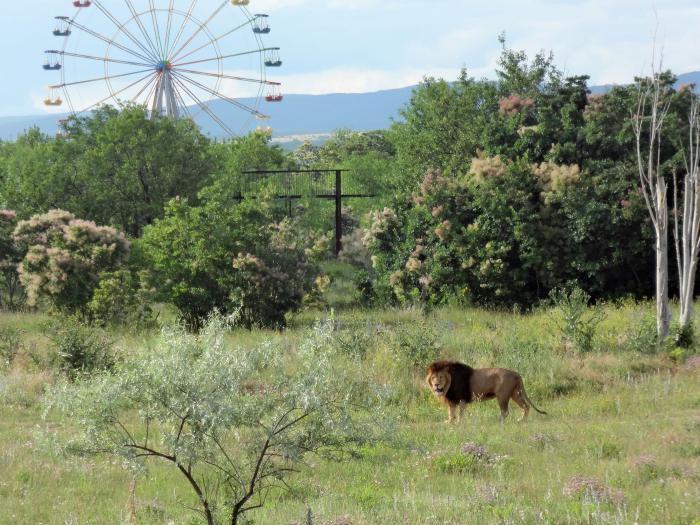 Crimean nature reserves