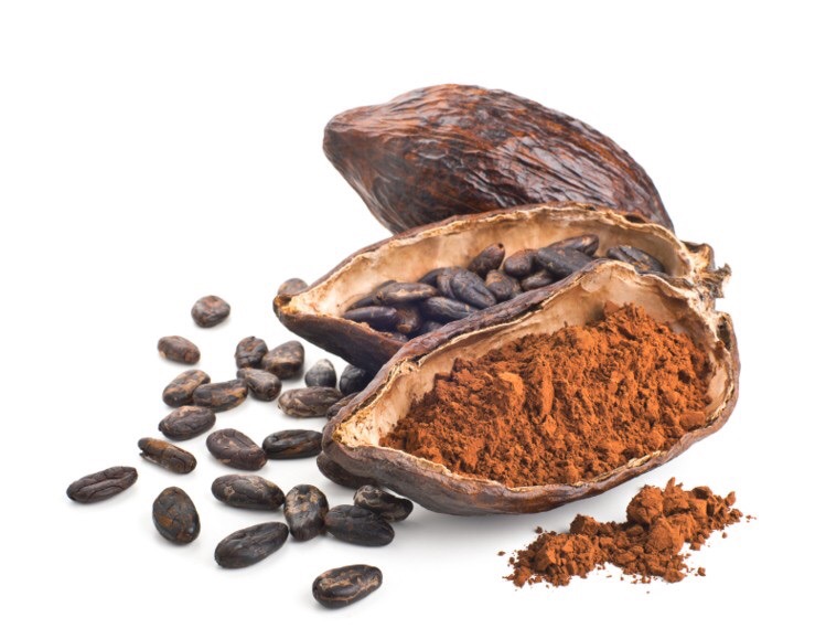 Этапы переработки какао-бобов
