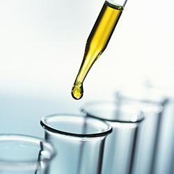 Oxalates in urine are normal